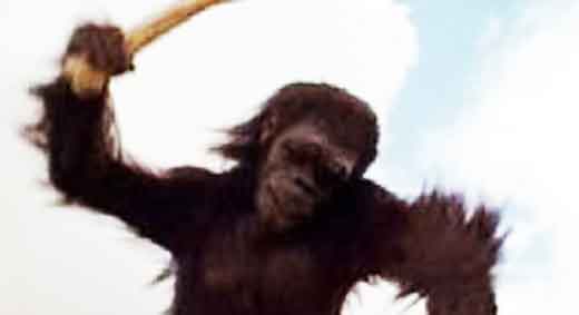 monkey2001