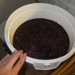 vinho 014