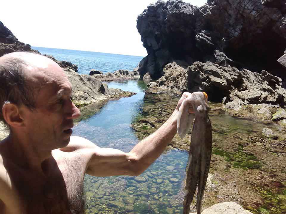 polvo